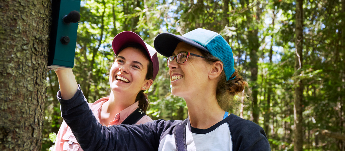 students working together in forest