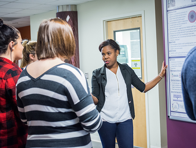 Students work with a supervisor to research
