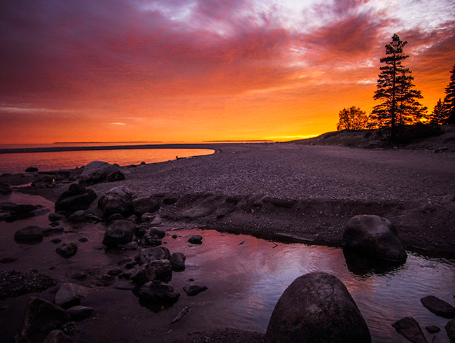 sunset along northern ontario beach, silhouetted trees