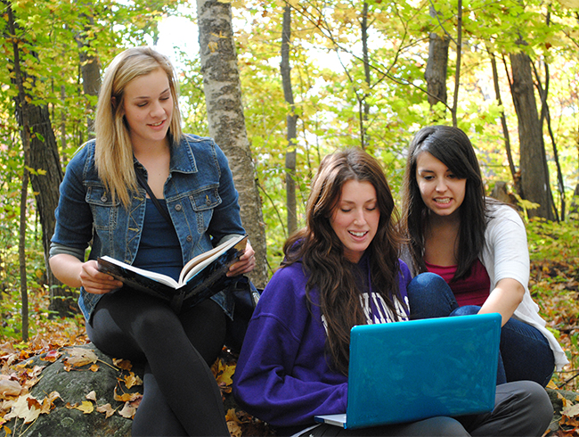 students studying in forest