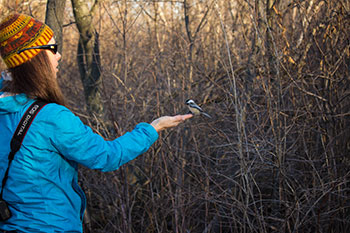 woman reaching hand out to small bird in forest