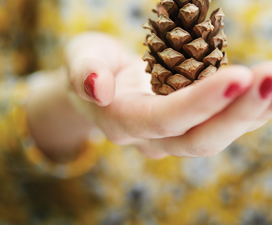 $image_right['alt']; ?>