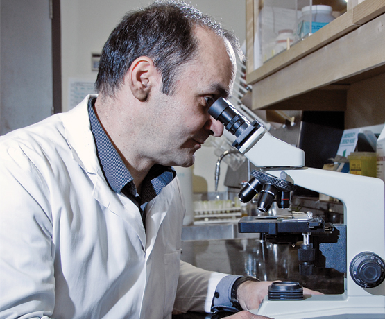 faculty looking into microscope