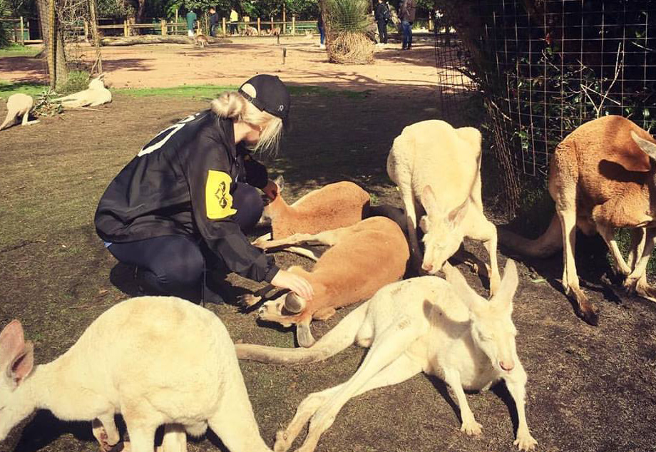 student with kangaroos