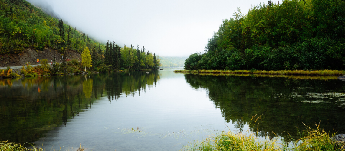 image of a lake with trees on both sides