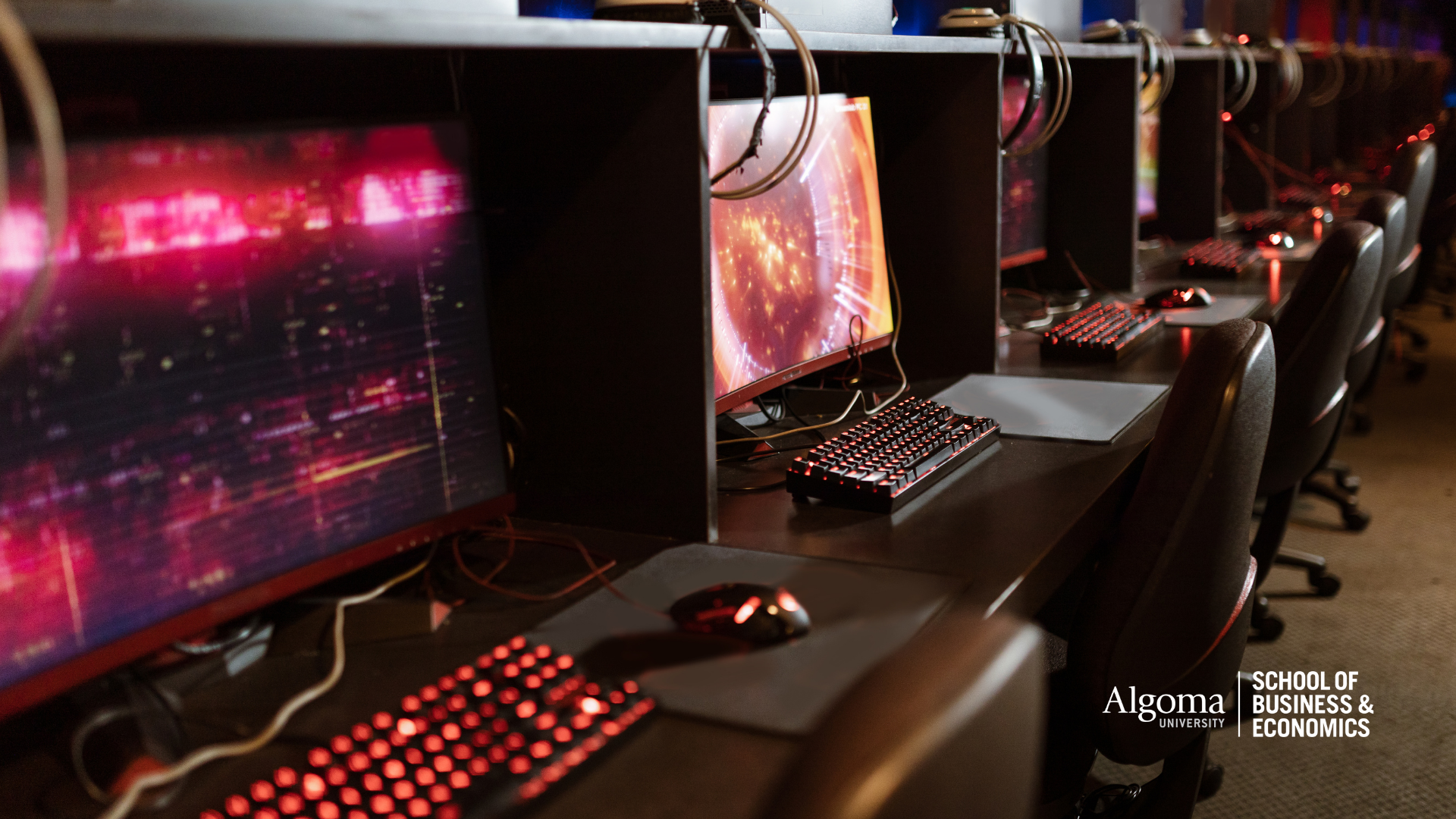Rows of gaming computers