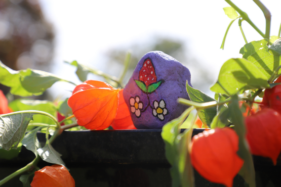 Strawberry painted on rock placed above the 7 grandfather teachings